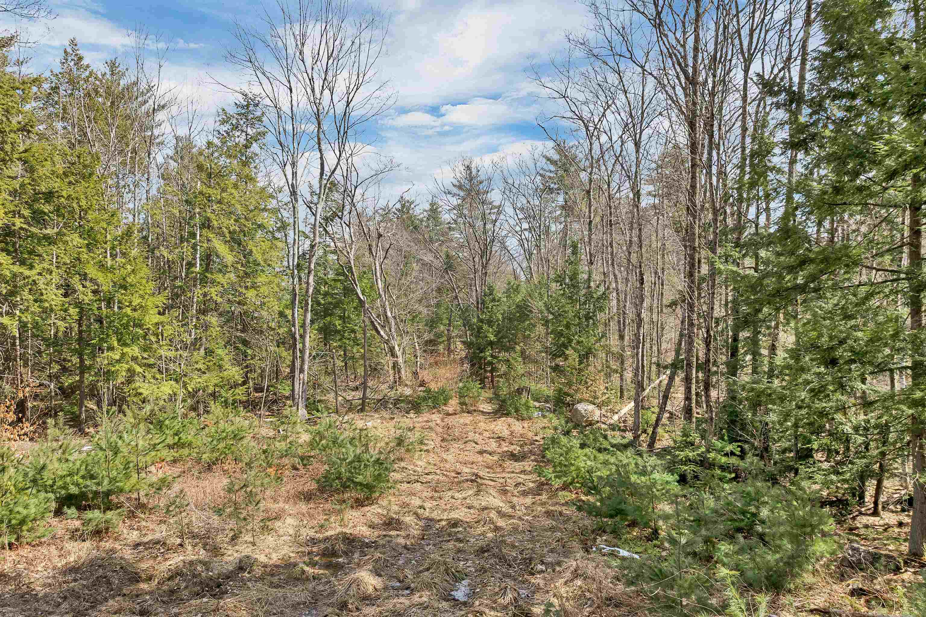 00 Eagle Ledge Road