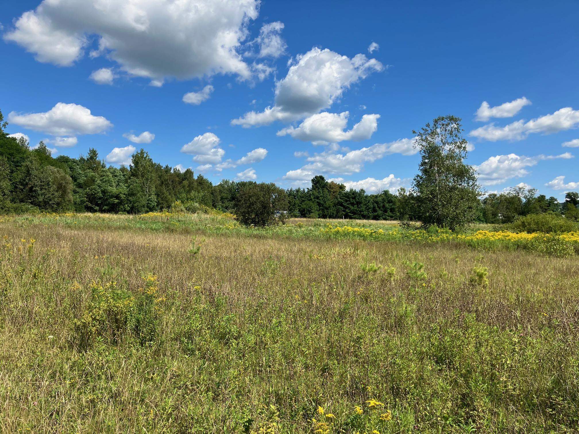 311, Lot 4 Main Street Lot 4