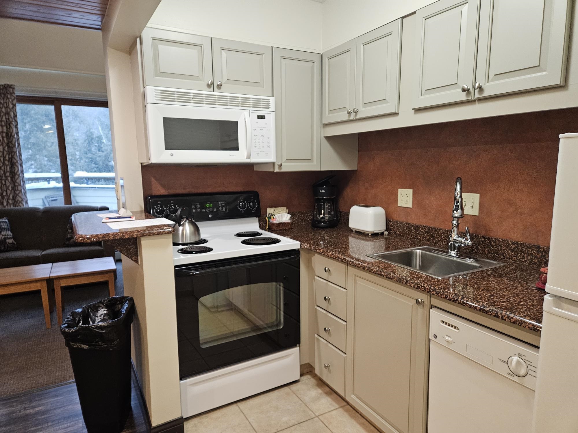 90 Loon Mountain Road 1303D