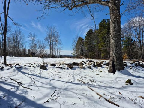 Photo of 115 Moody Road, Effingham, NH 03882 (MLS # 5081580)