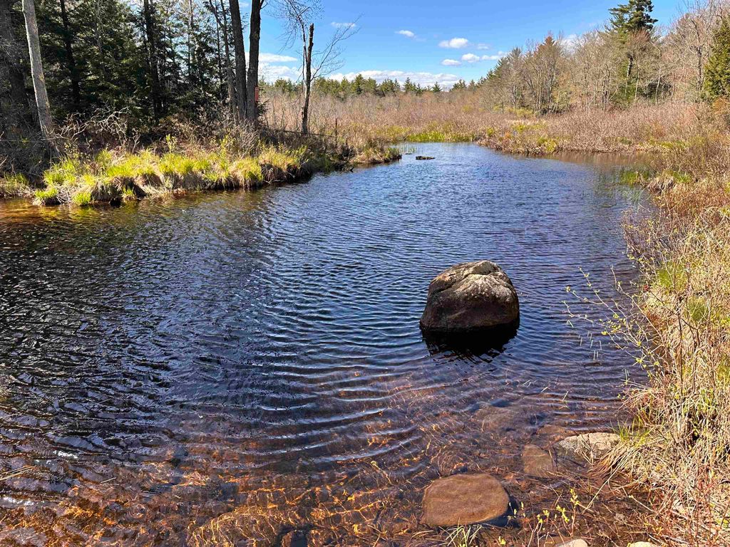 Photo of 378 Silver Street, Middleton, NH 03887 (MLS # 5088621)