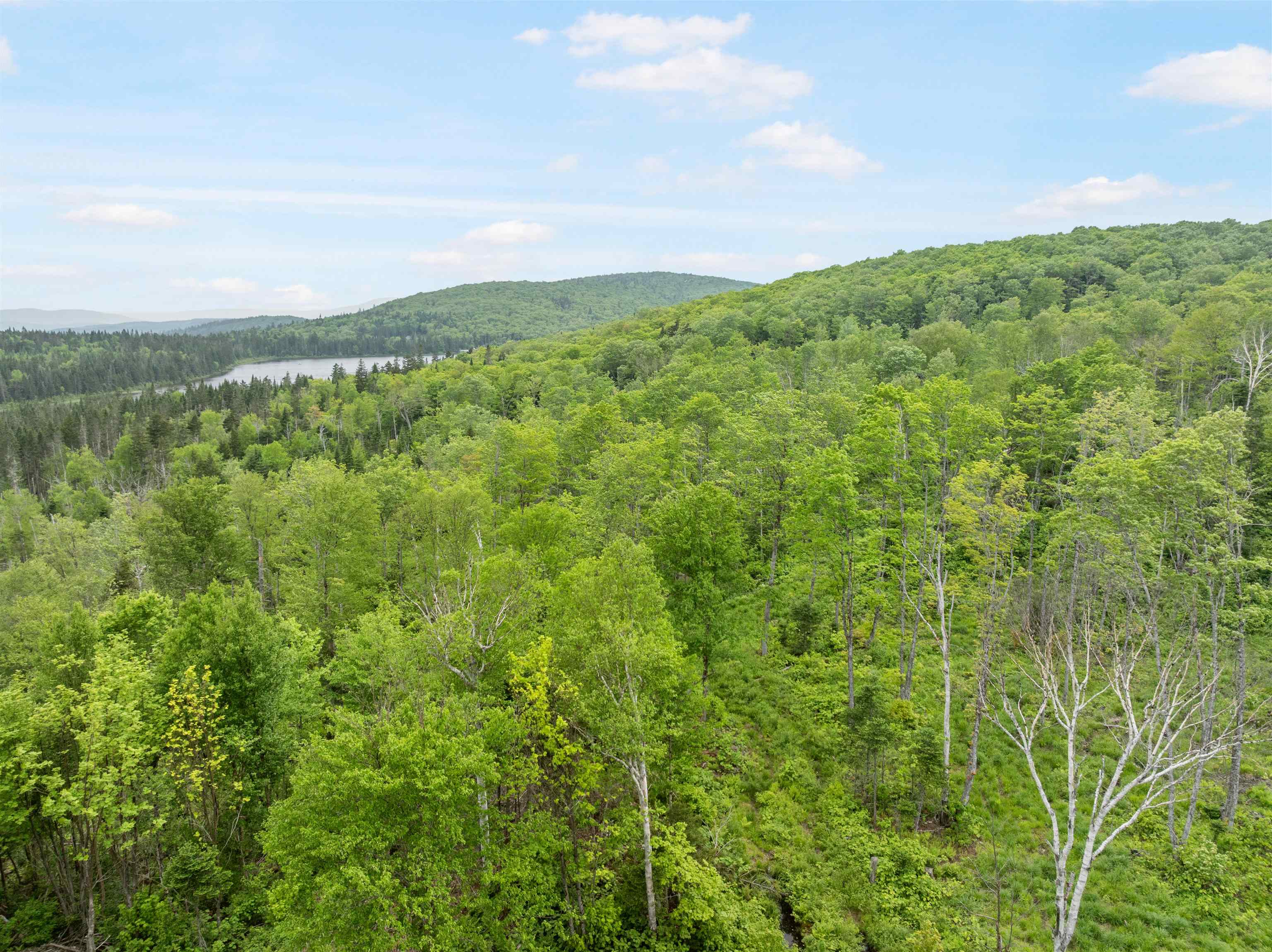 87 Diamond View Road