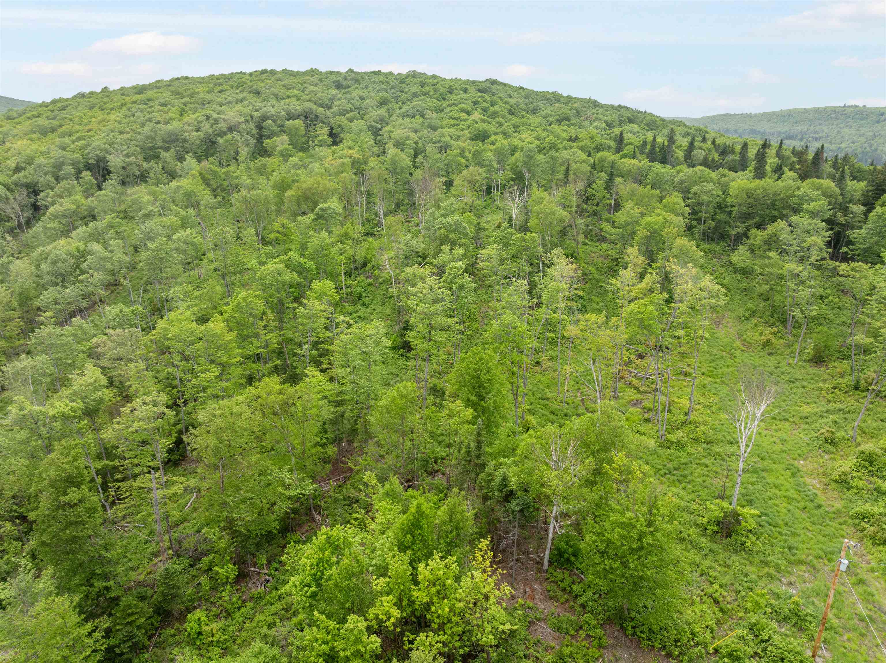 87 Diamond View Road