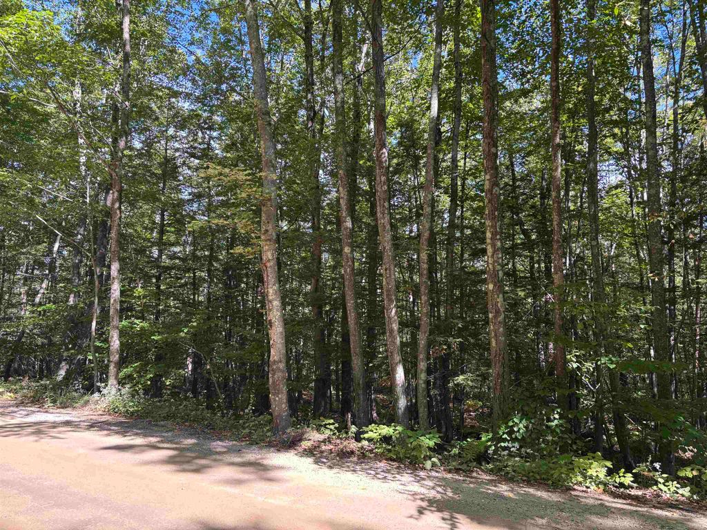 Photo of 281 Range Road, Strafford, NH 03884 (MLS # 5061664)