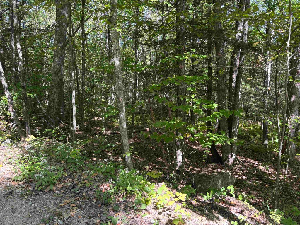 Photo of 281 Range Road, Strafford, NH 03884 (MLS # 5061664)
