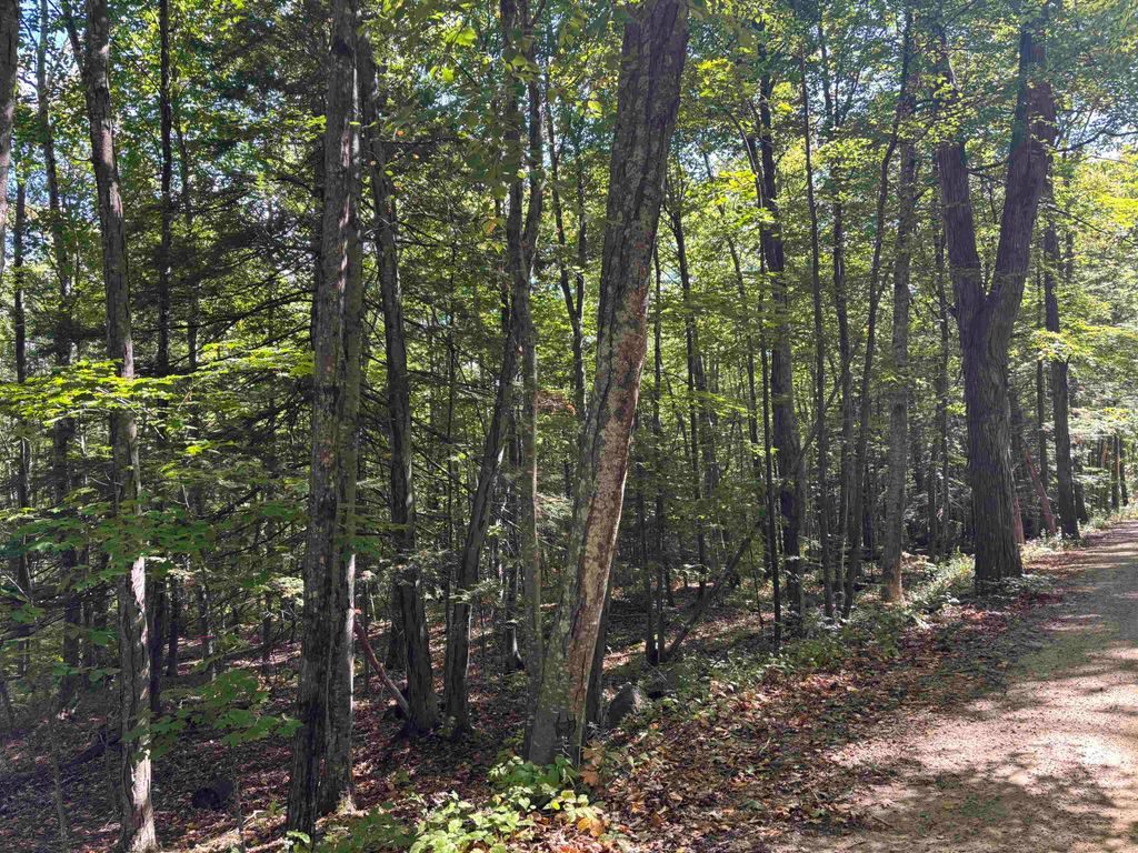 Photo of 281 Range Road, Strafford, NH 03884 (MLS # 5061664)