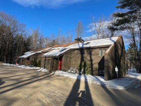 1 Woodland Pines Road 1 Bartlett NH 03812