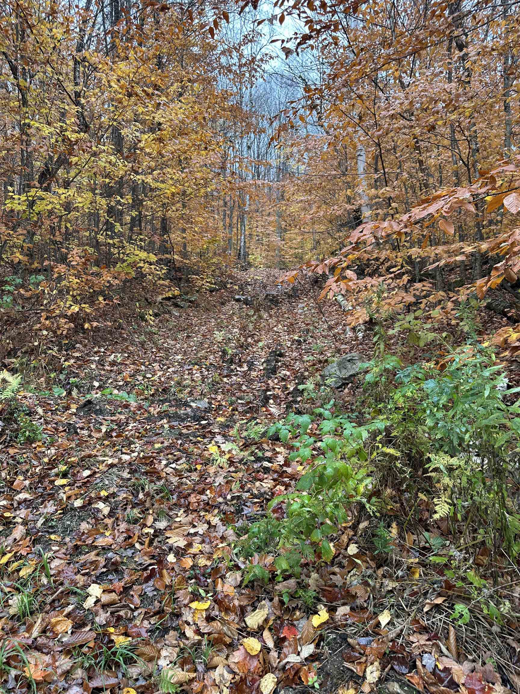 0 Upper Notch Road