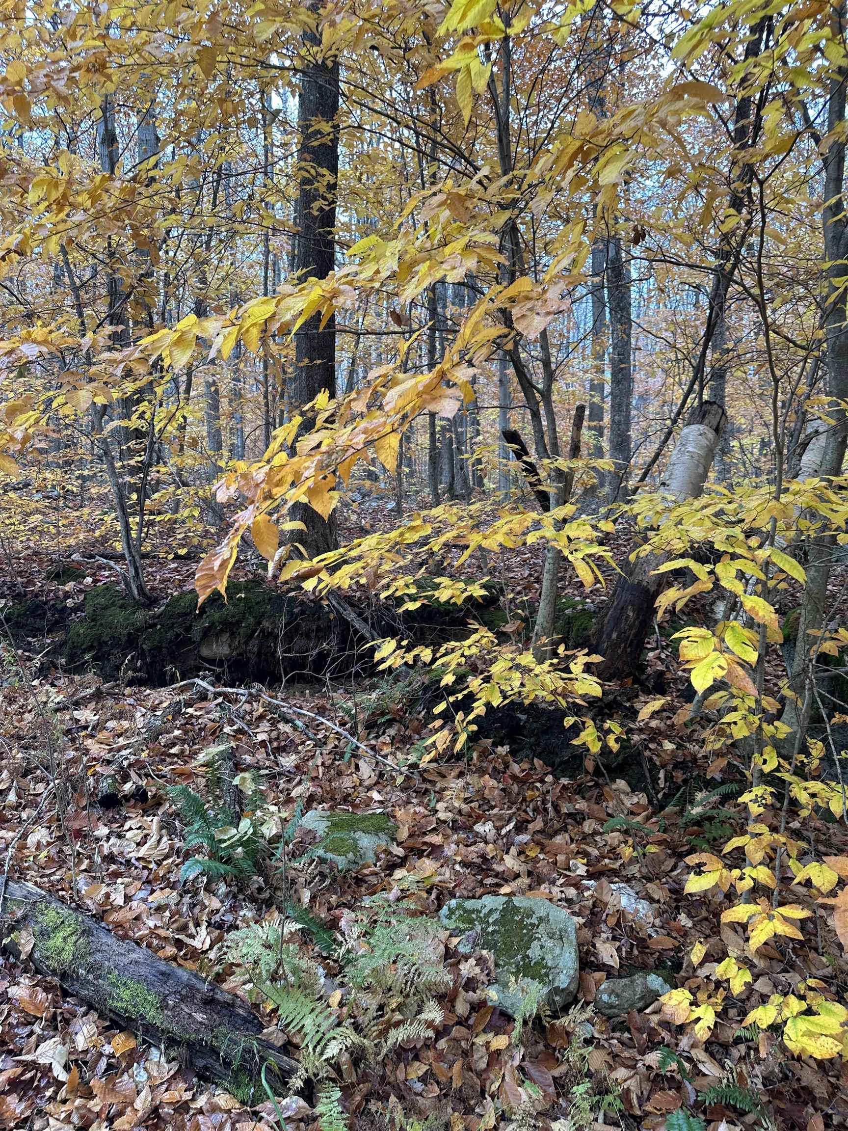 0 Upper Notch Road