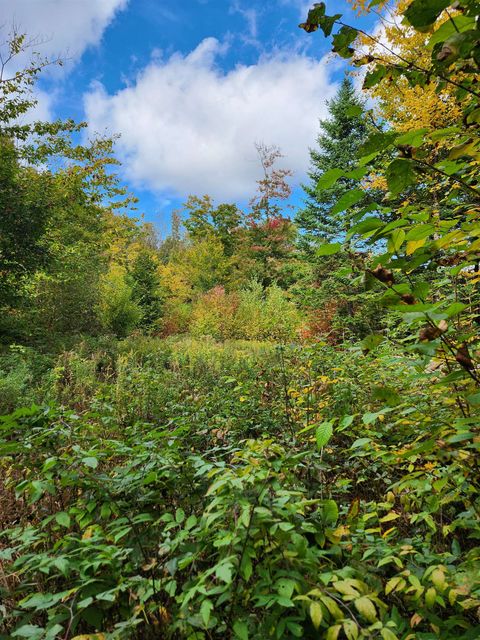 Off Groton North Road 56 Groton NH 03241