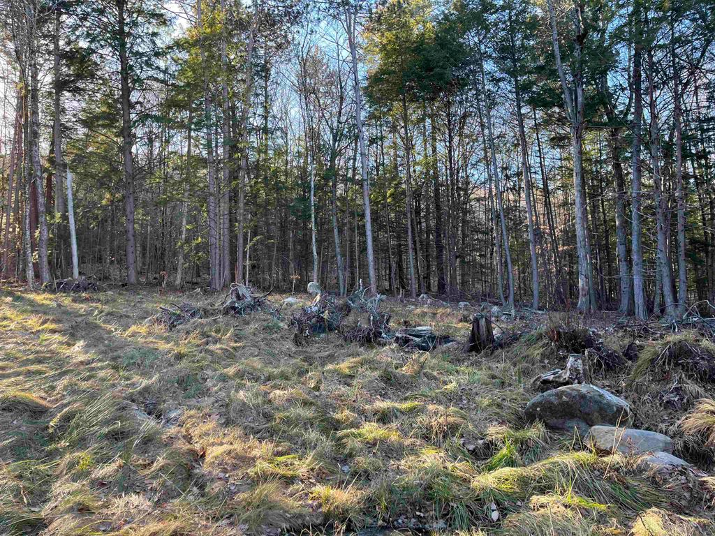 Photo of 11 Raccoon Hill Road #Map 235 Lot11, Salisbury, NH 03268 (MLS # 5085544)