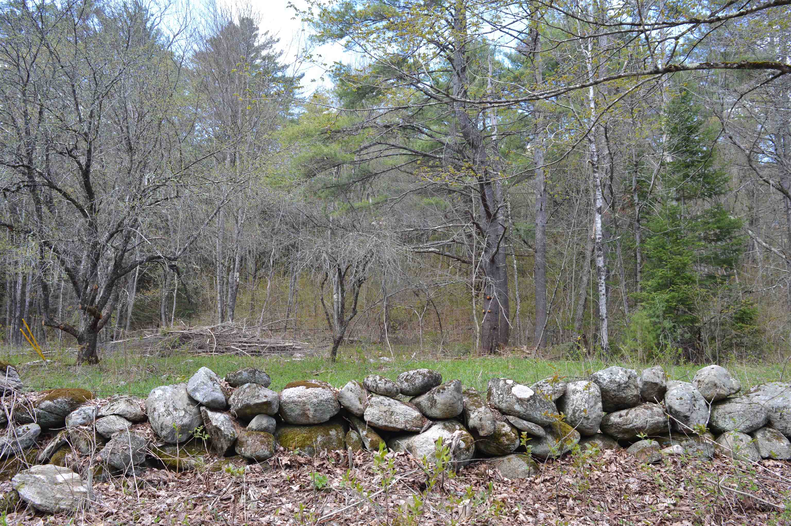 407 River Road