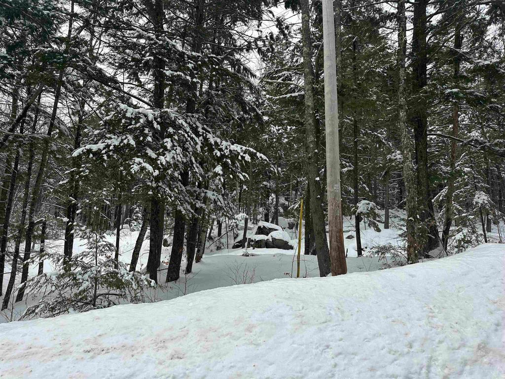 Photo of 00 North Road, Sutton, NH 03260 (MLS # 5076729)