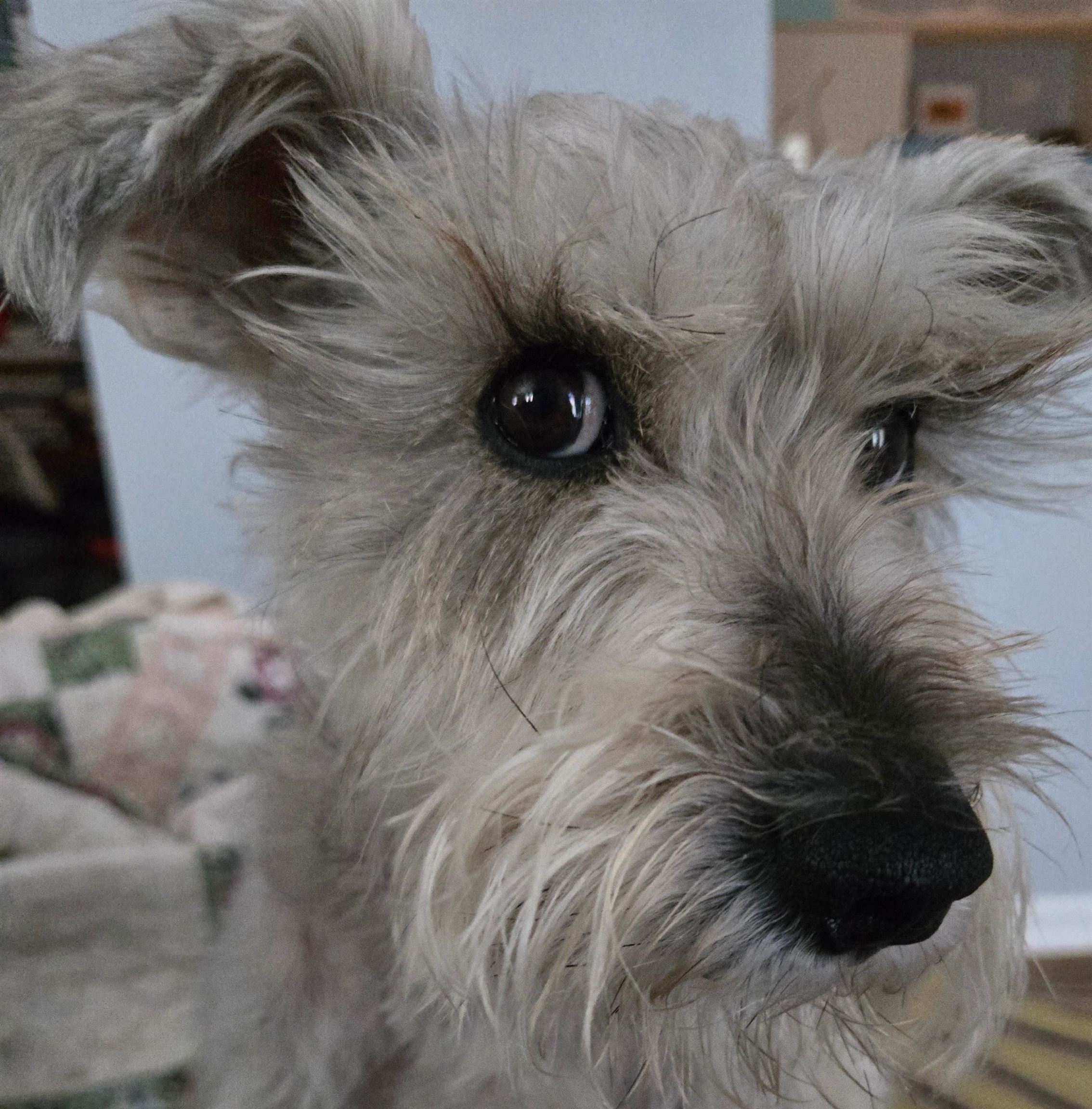 35 Collins Landing Road 32