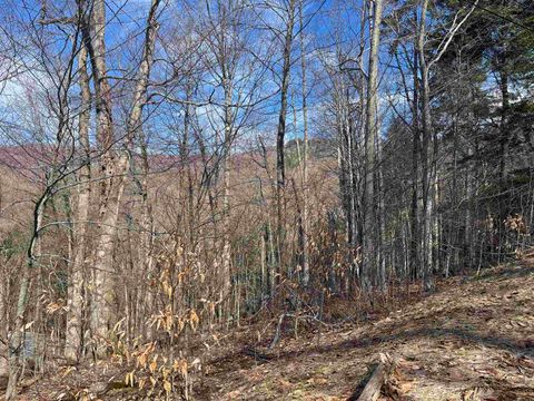 2-47 East Ash Road Plymouth VT 05056