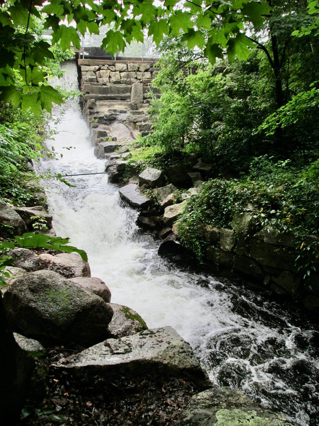 Photo of 119 Moultonville Road, Ossipee, NH 03814 (MLS # 5081491)