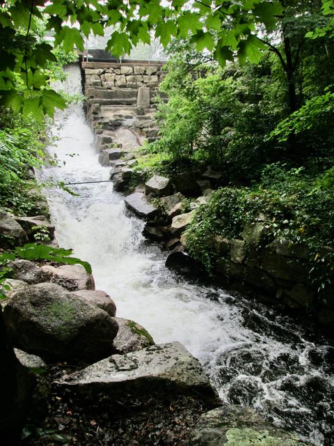 119 Moultonville Road Ossipee NH 03814