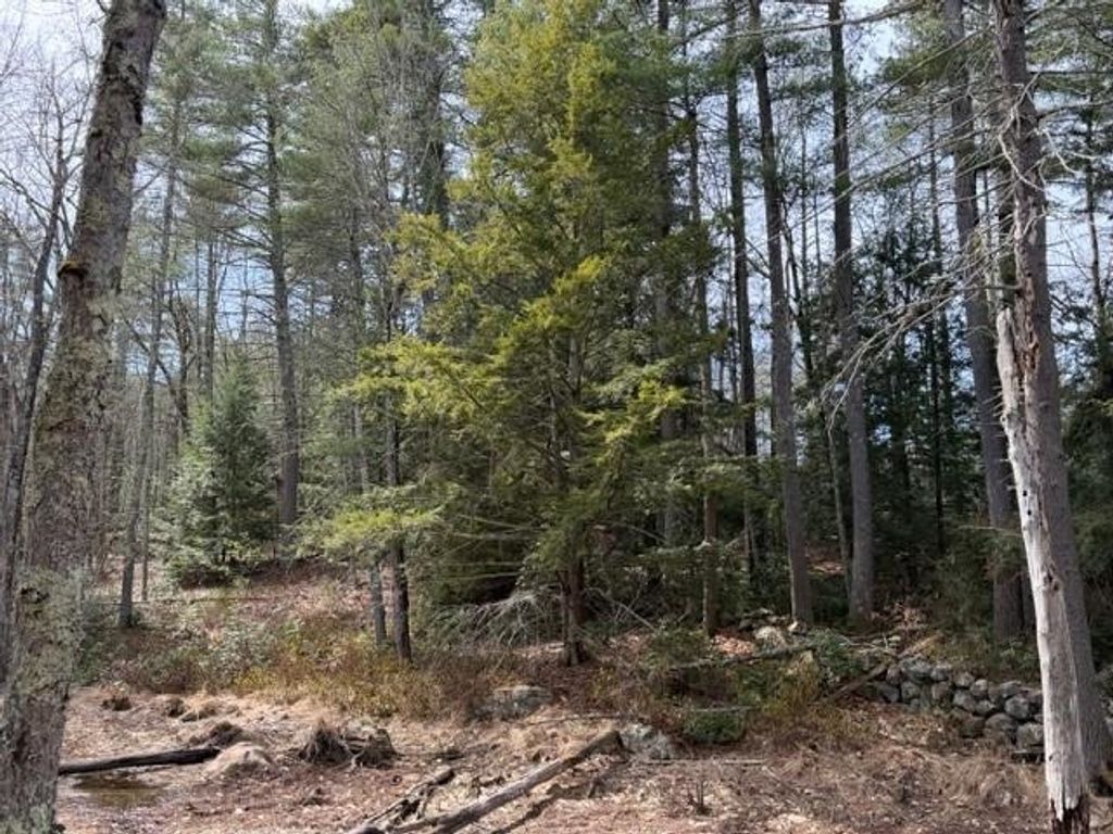Photo of 0 Ruonala Road, Milford, NH 03055 (MLS # 5081435)