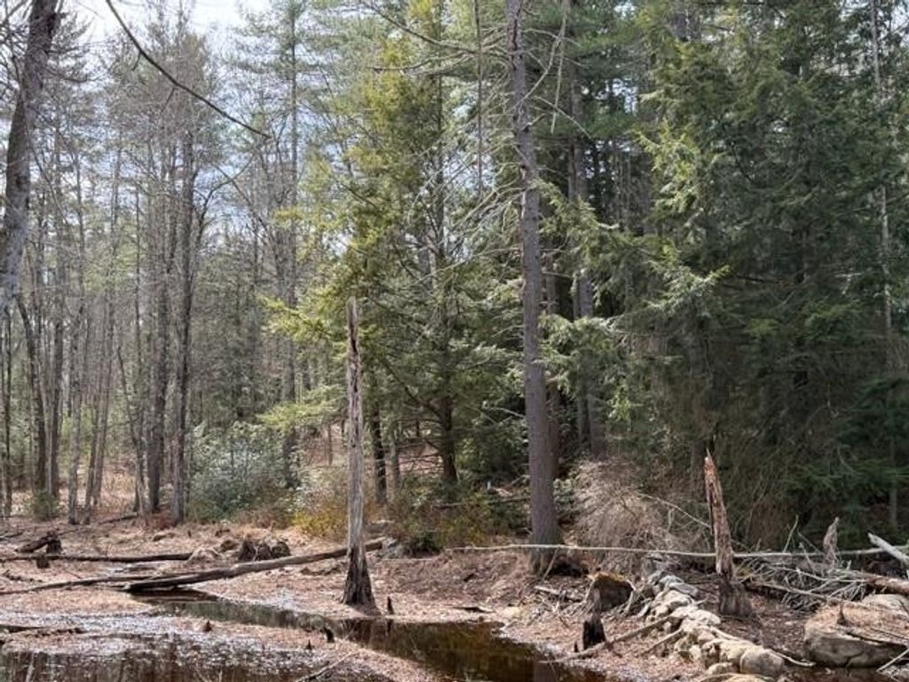 Photo of 0 Ruonala Road, Milford, NH 03055 (MLS # 5081435)