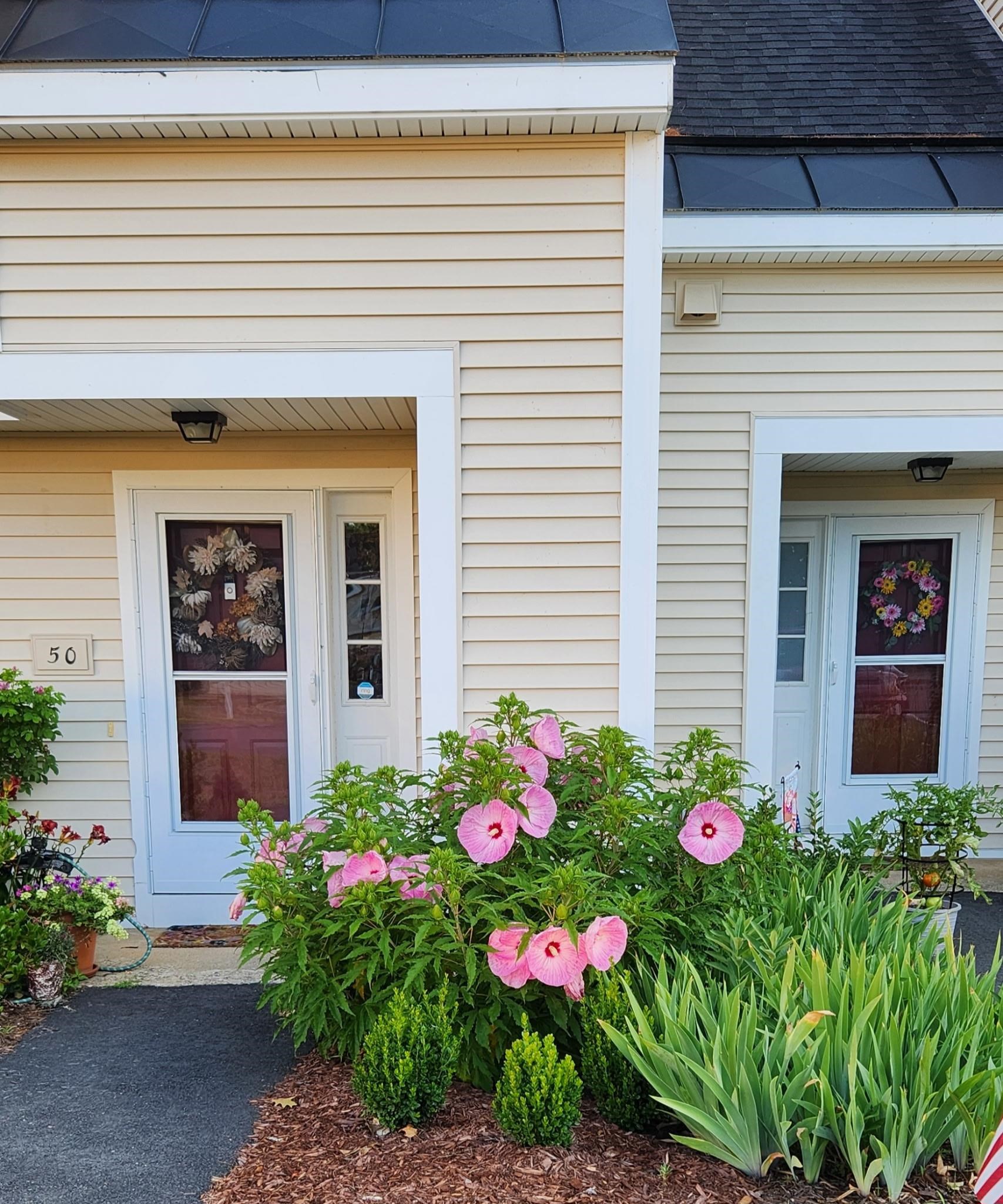 50 Modena Drive