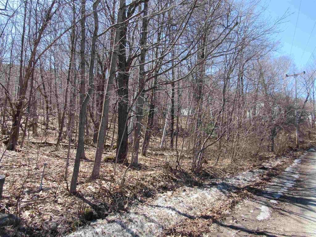 Photo of 21 Promenade Street, Gorham, NH 03581 (MLS # 4990354)