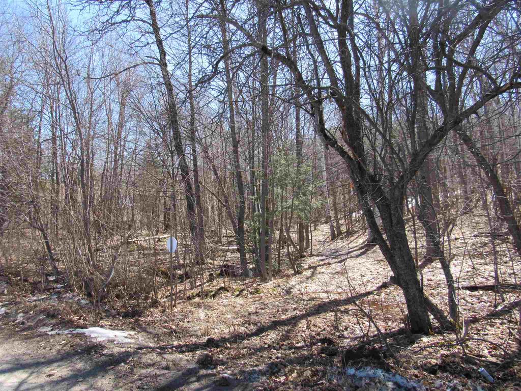 Photo of 21 Promenade Street, Gorham, NH 03581 (MLS # 4990354)