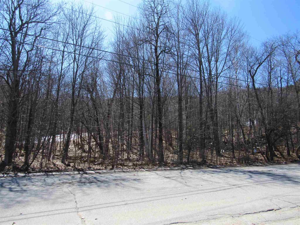 Photo of 21 Promenade Street, Gorham, NH 03581 (MLS # 4990354)
