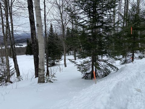 48 Alberts Lane Warren VT 05674