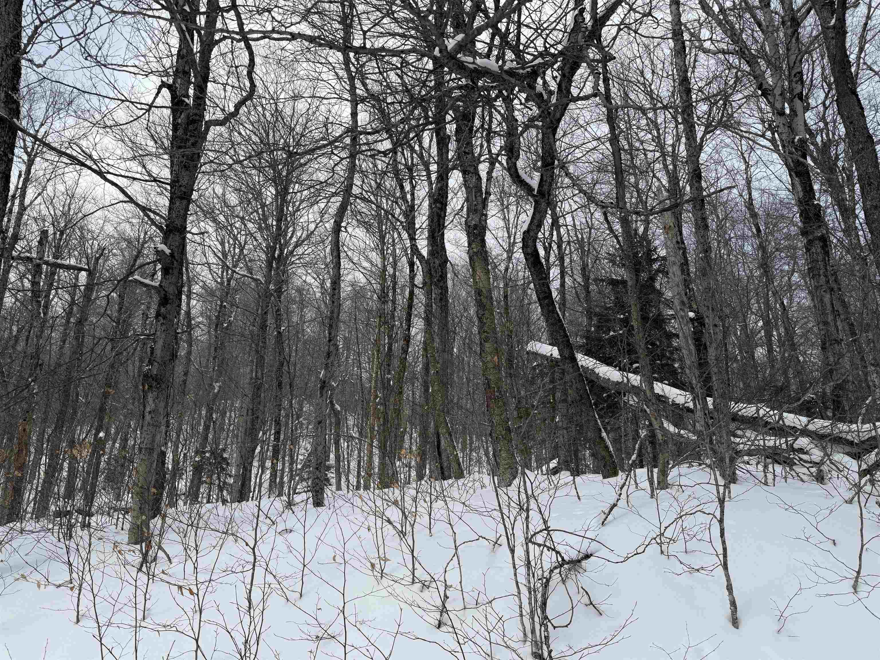 326A Bergabhang Drive