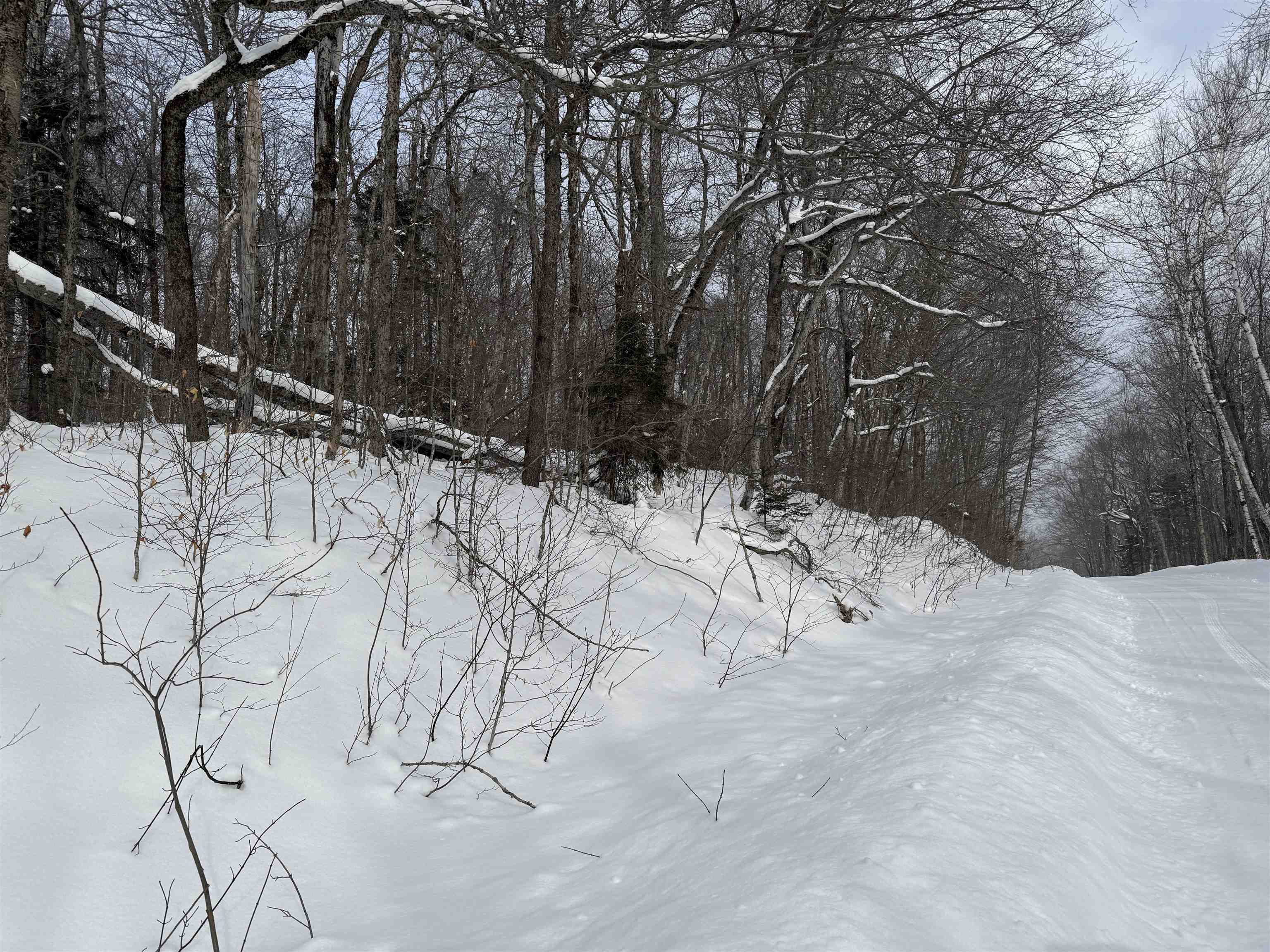 326A Bergabhang Drive