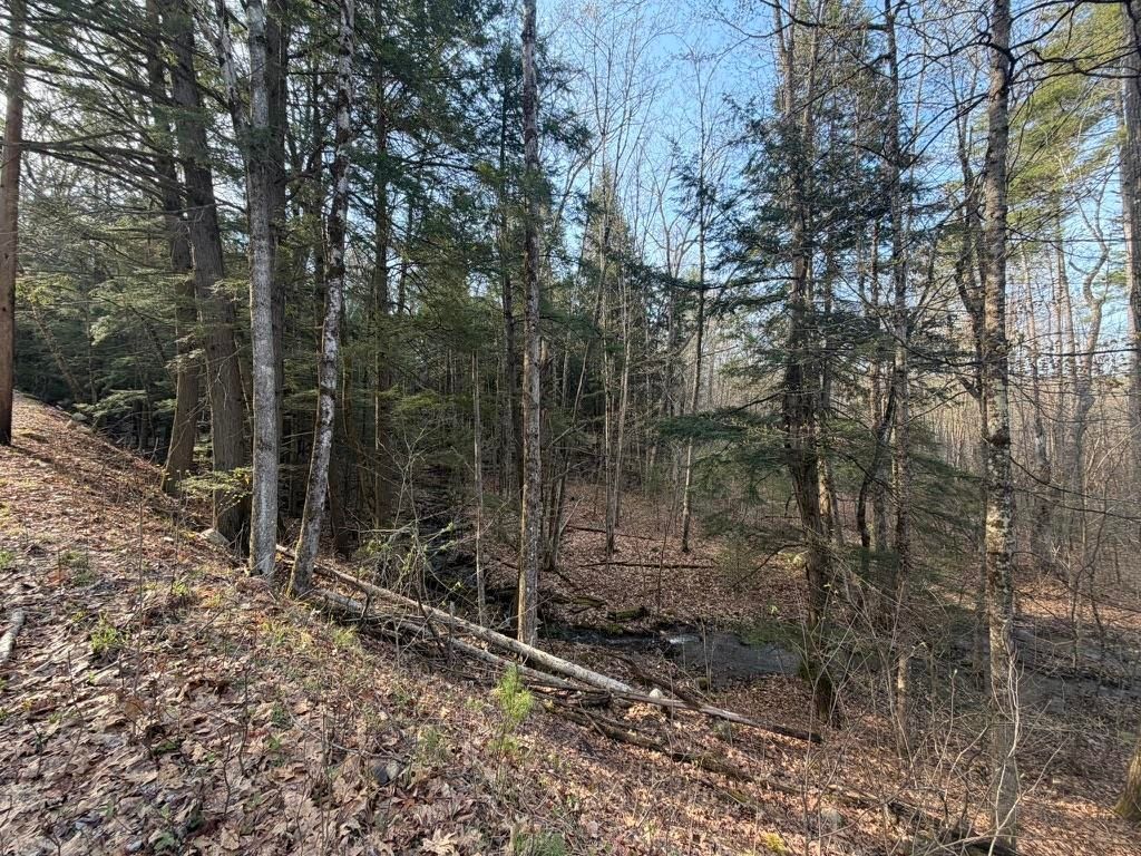 Photo of 0 Kemp Road, Croydon, NH 03773 (MLS # 5086995)