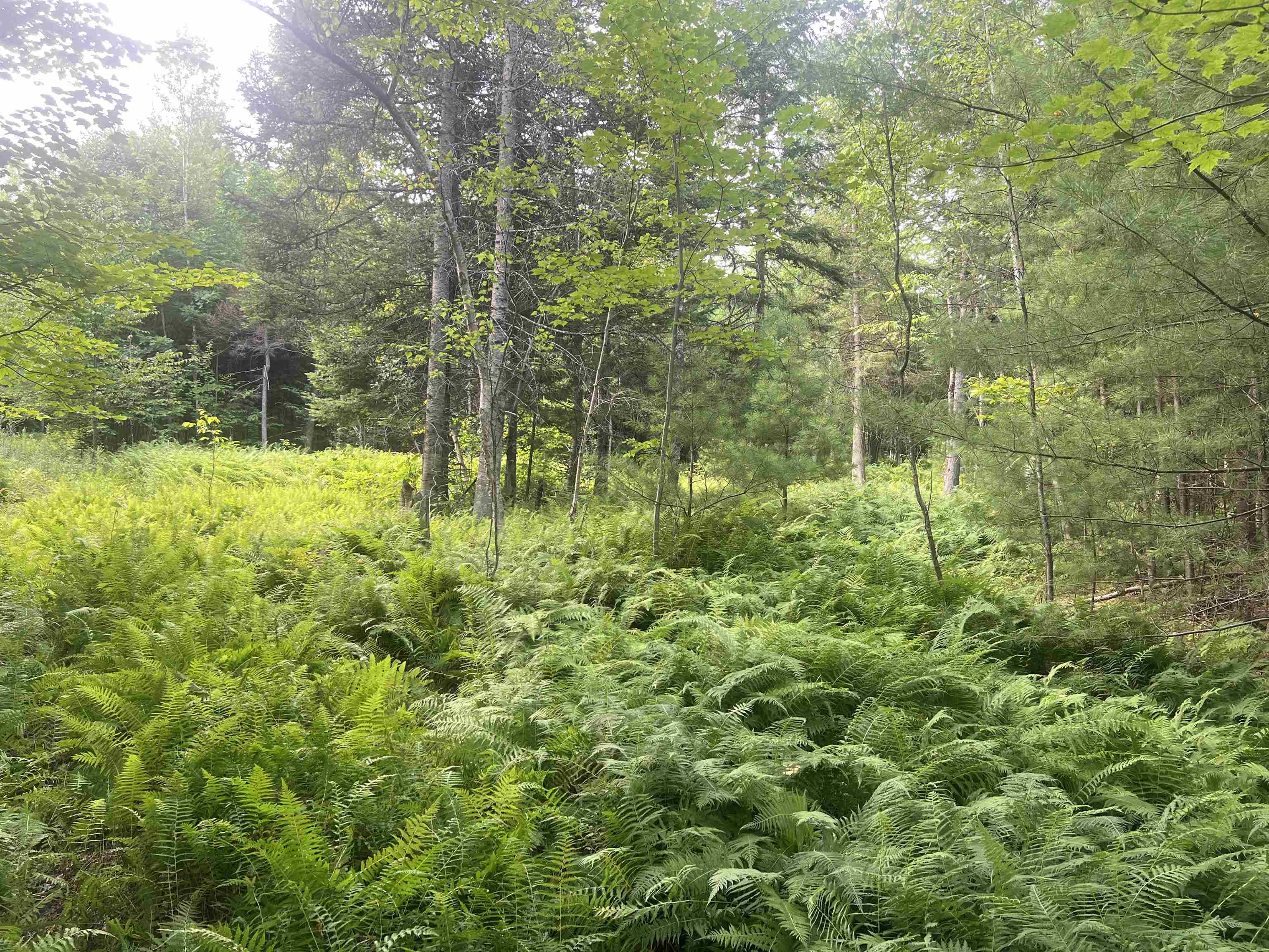 Lot 4 Aldrich Mountain Lane 4