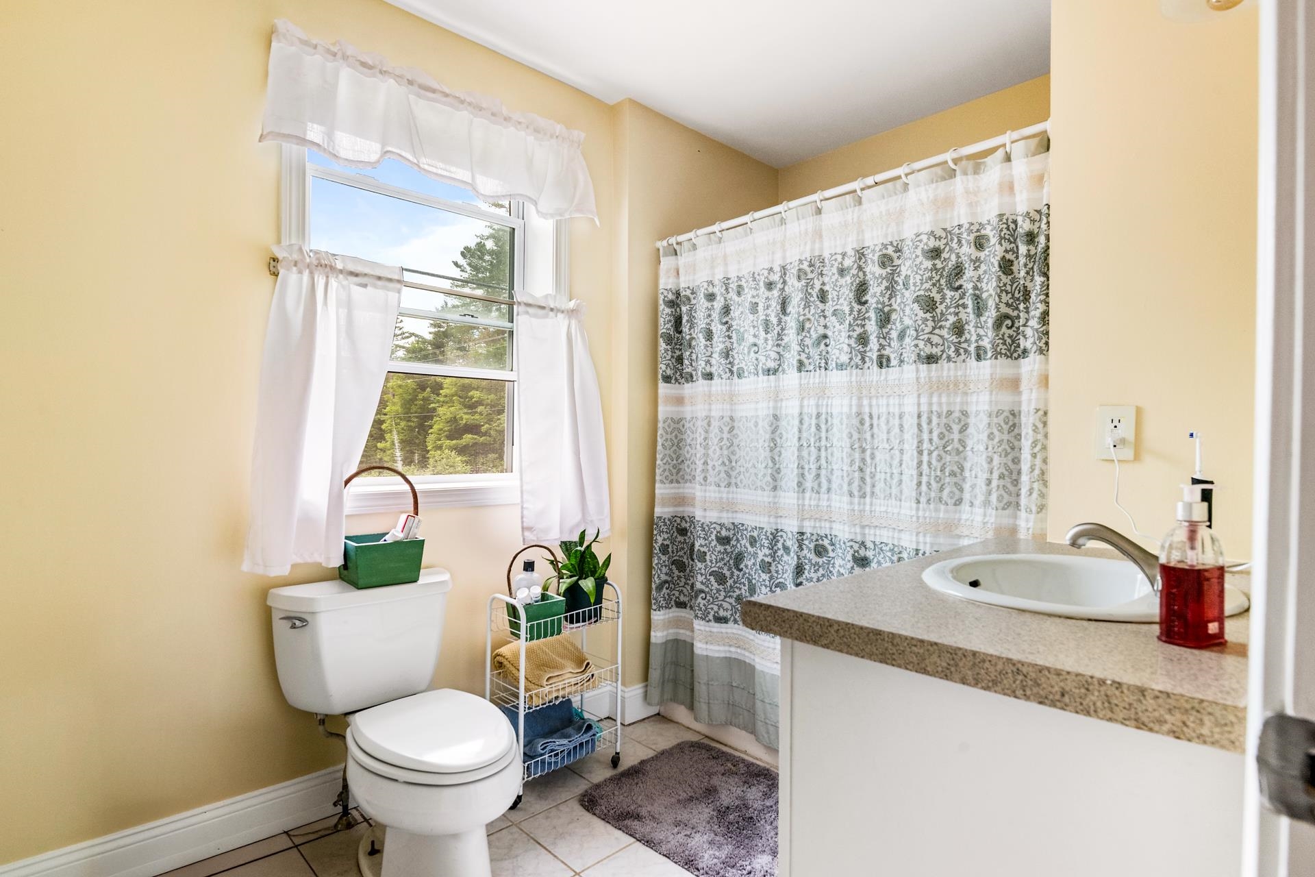 Goshen, New Hampshire 03752, United States, 3 Bedrooms Bedrooms, ,1 BathroomBathrooms,Residential,Active,162315