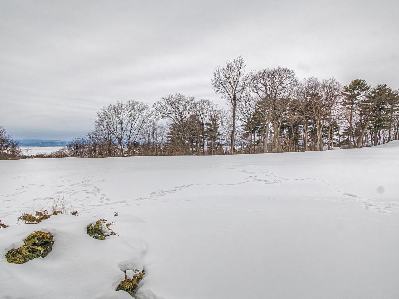 545 South Prospect Street 22