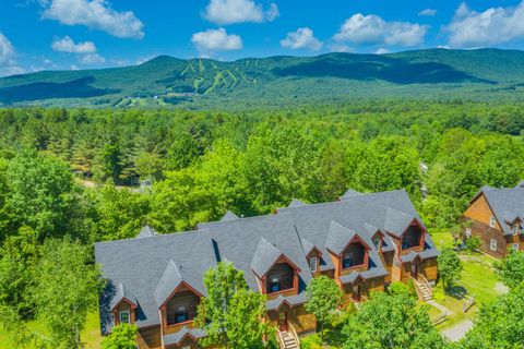 10A Grouse Lane 10A Dover VT 05356