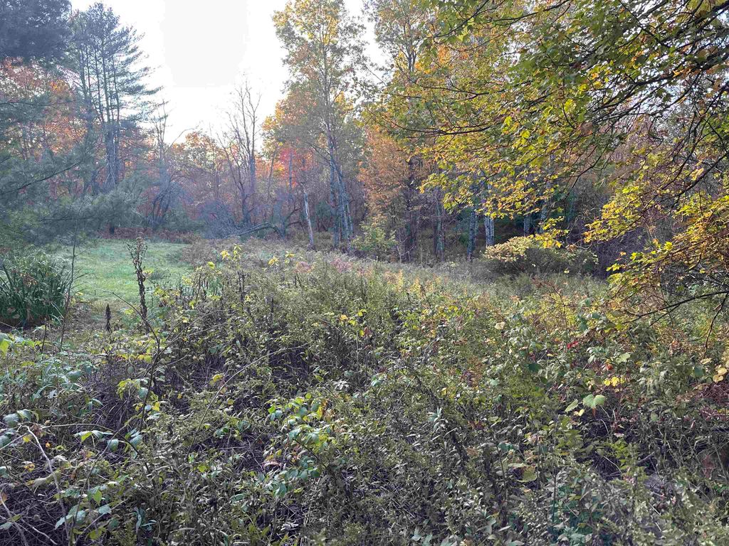 Photo of 70 Hodge Hill Road, Lisbon, NH 03585 (MLS # 5036650)