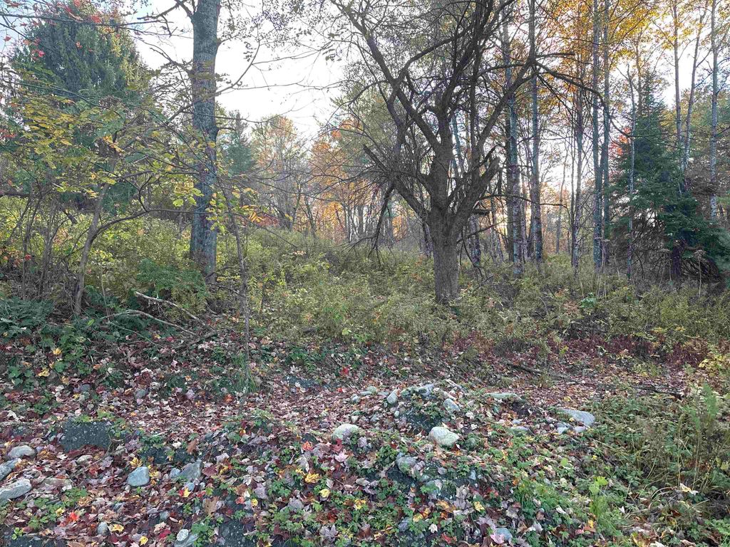 Photo of 70 Hodge Hill Road, Lisbon, NH 03585 (MLS # 5036650)