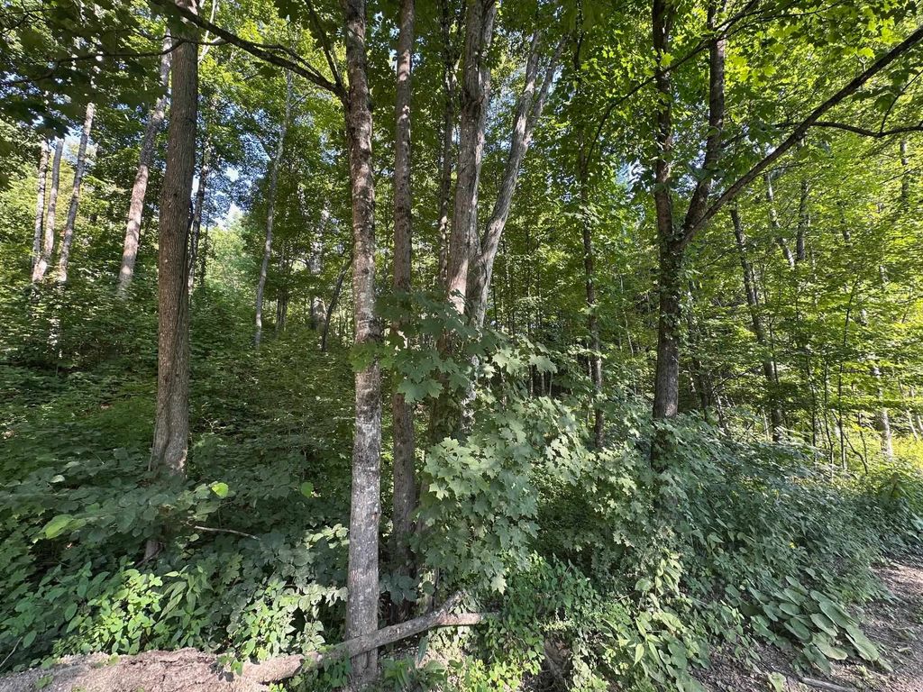 Photo of 90 Old Swanzey Road, Winchester, NH 03470 (MLS # 5085013)