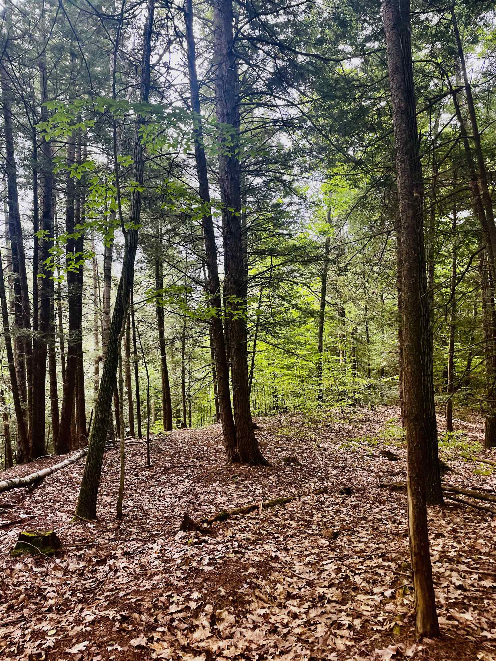 0 Summit Road