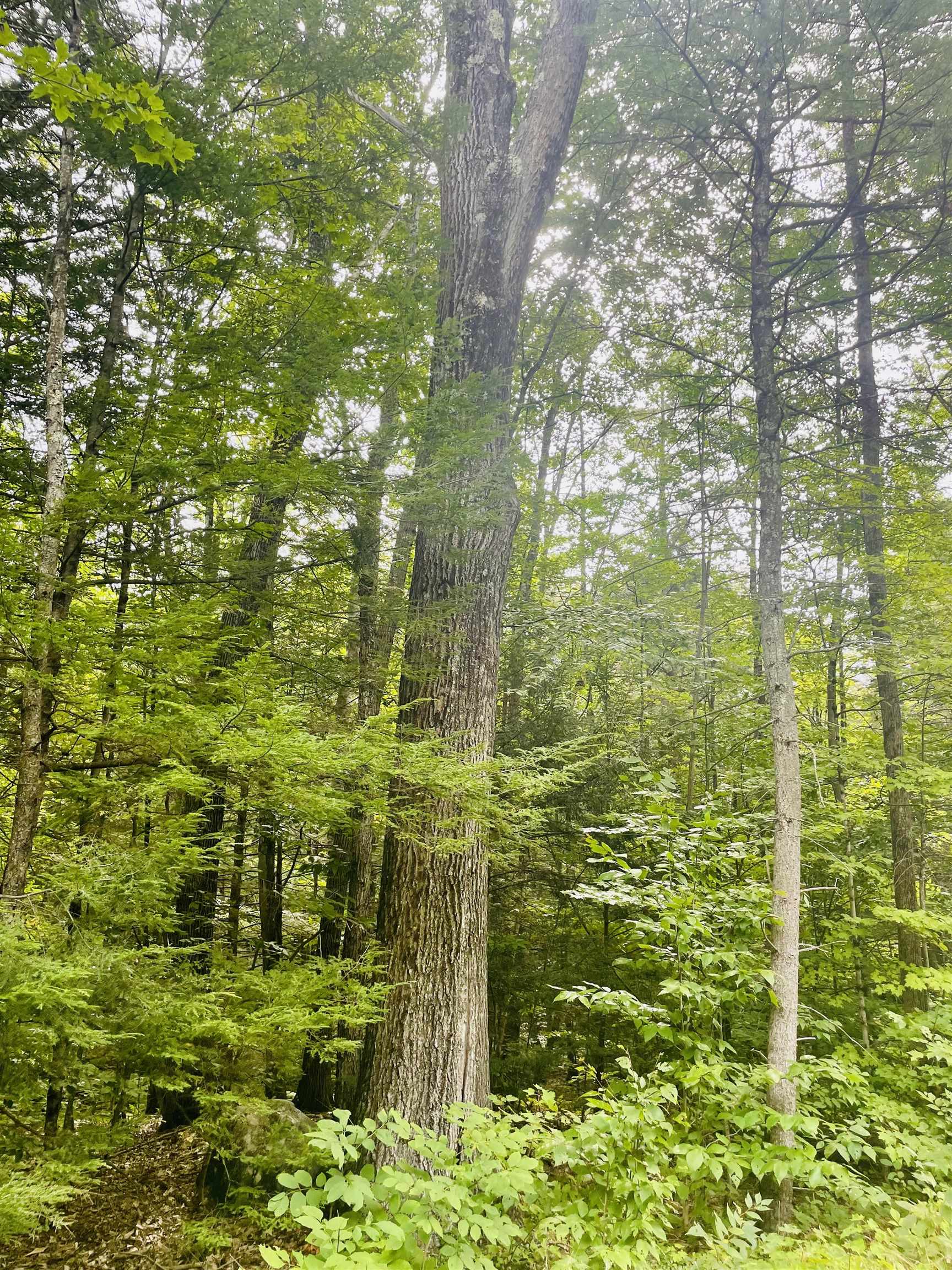 0 Summit Road