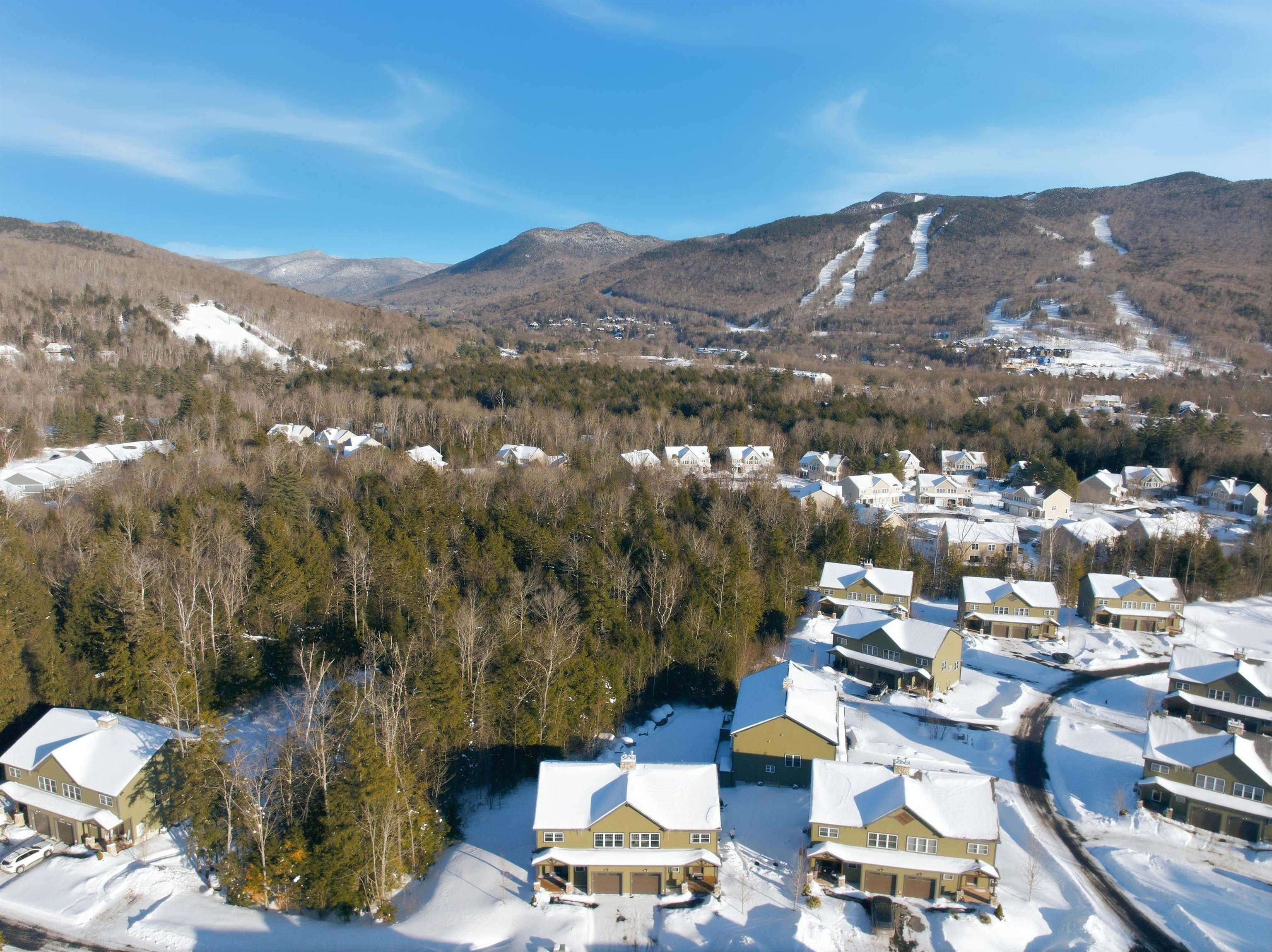 8 Forest Pine Spur B