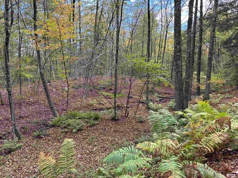 0 Windmill Hill Road North Westminster VT 05158