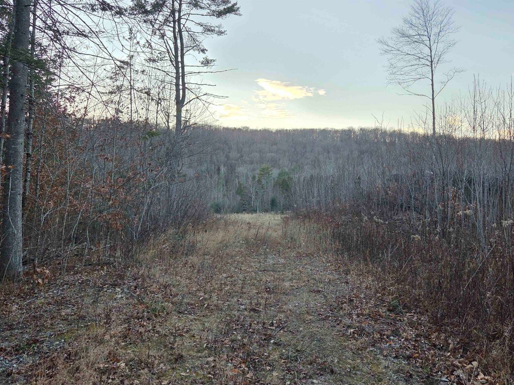 Photo of 6723 Bog Road #3, Enfield, NH 03748 (MLS # 5072074)