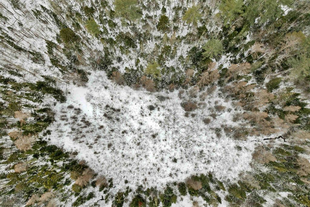 Photo of 507 West Side Road, Whitefield, NH 03574 (MLS # 5073858)