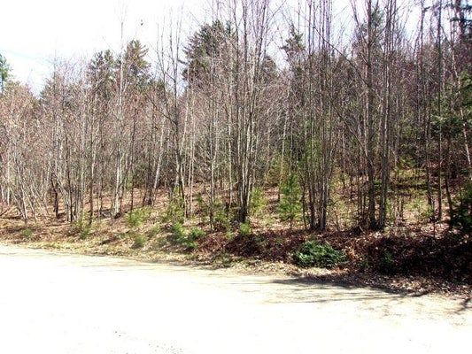 259 HAVERHILL LN, WOODSVILLE, NH 03785 - Image 26ee08e20b2bdc8b530ca46f3019a441/3401903530