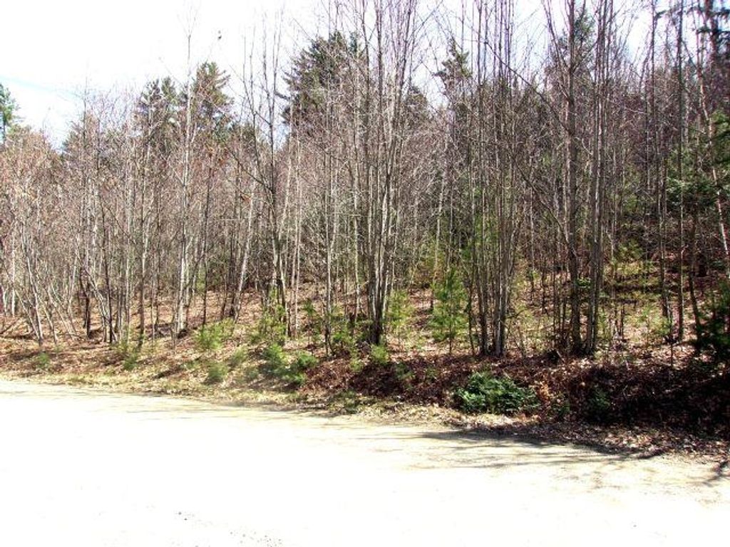 Photo of Swiftwater Circle #259, Haverhill, NH 03785 (MLS # 5085453)