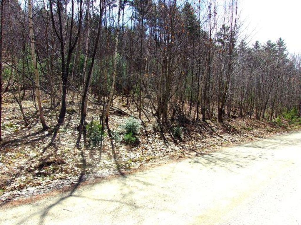 Photo of Swiftwater Circle #259, Haverhill, NH 03785 (MLS # 5085453)