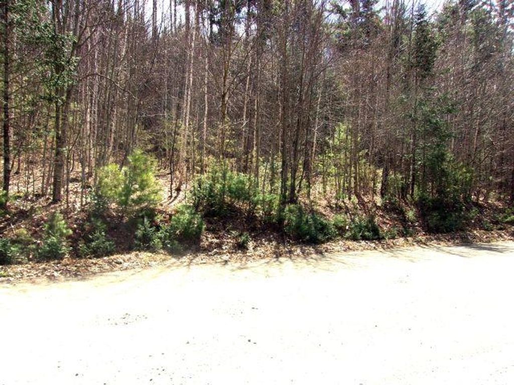 Photo of Swiftwater Circle #259, Haverhill, NH 03785 (MLS # 5085453)