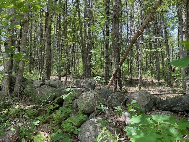 00 Gap Mountain Road
