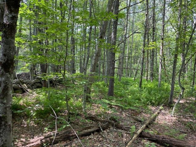 00 Gap Mountain Road